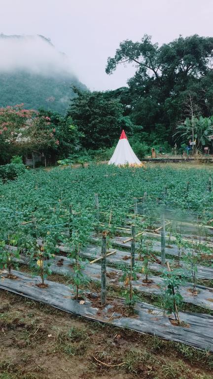 فندق Chiang Dao Story Camp المظهر الخارجي الصورة