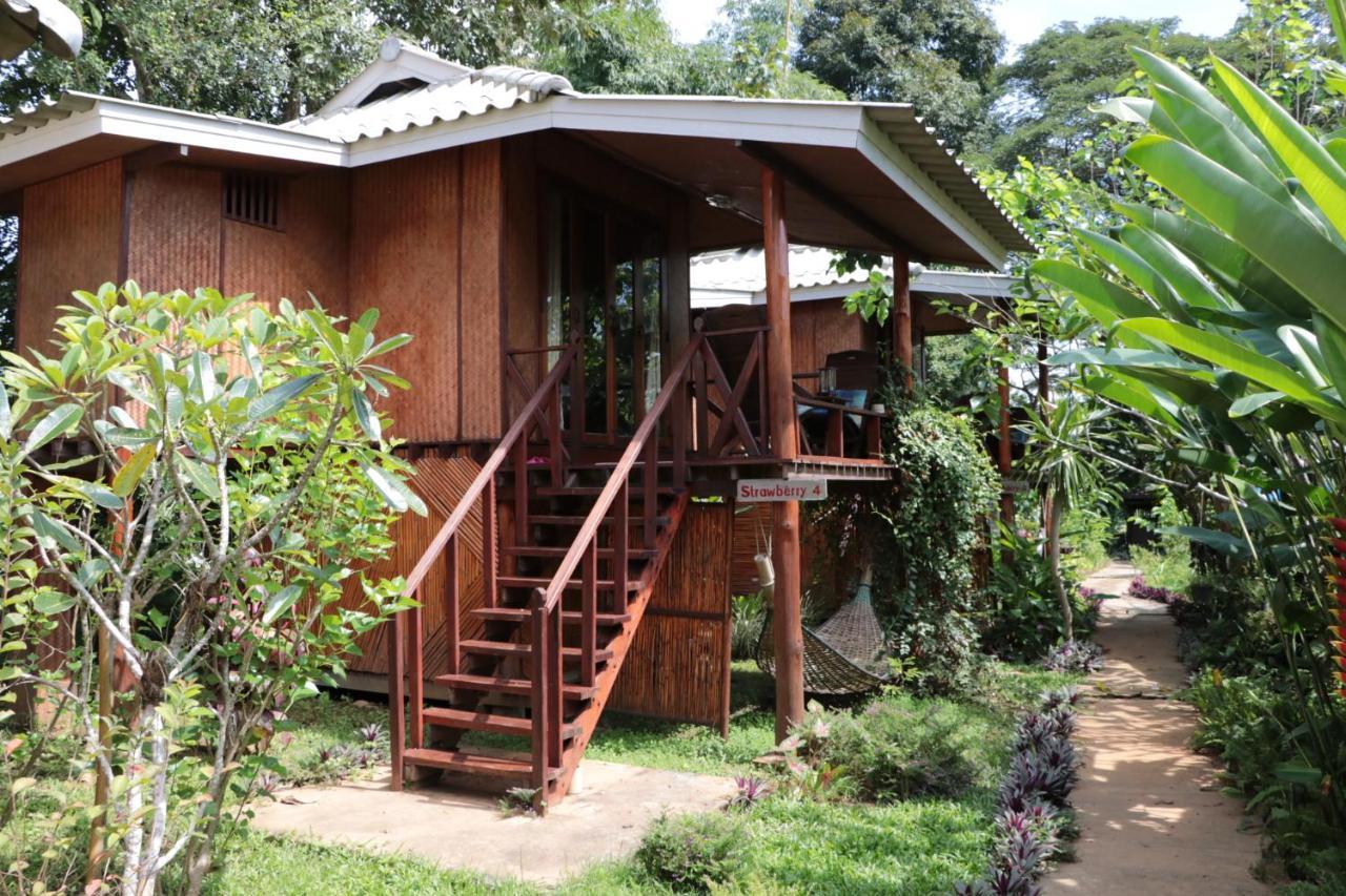 فندق Chiang Dao Story Camp المظهر الخارجي الصورة