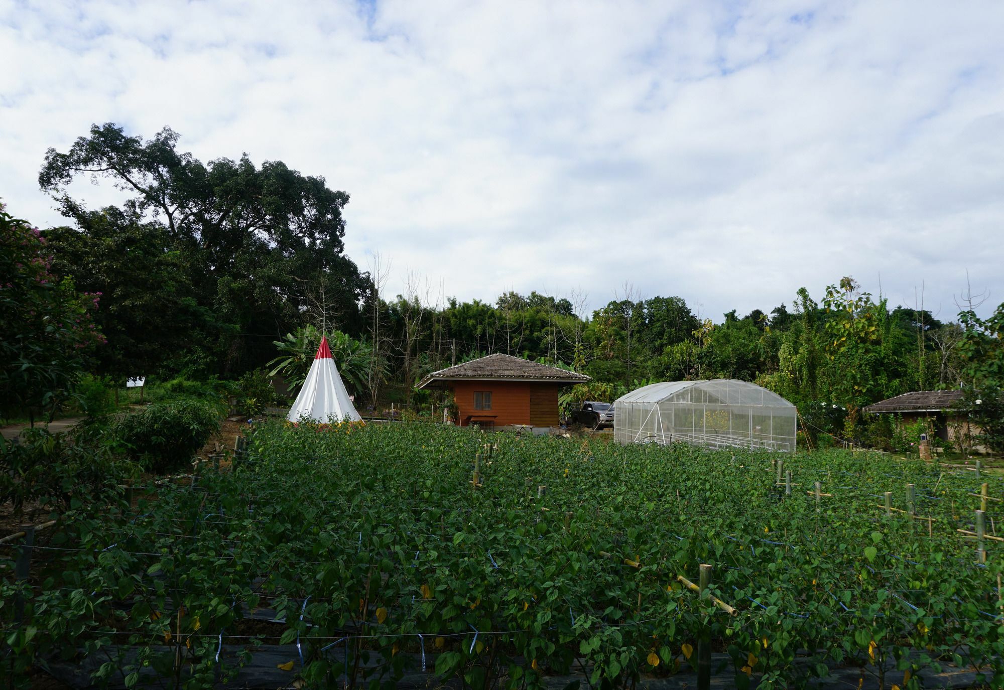 فندق Chiang Dao Story Camp المظهر الخارجي الصورة