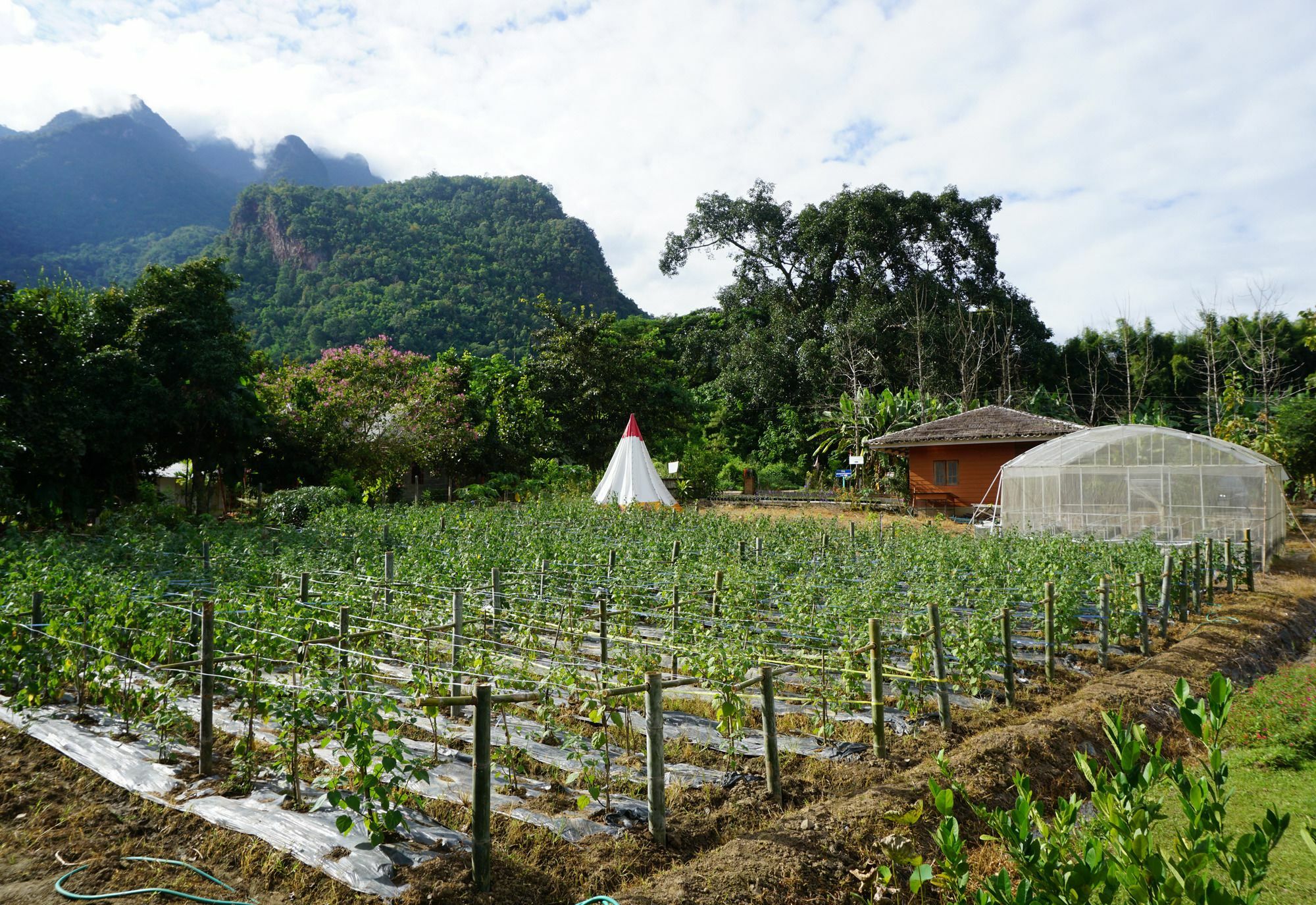 فندق Chiang Dao Story Camp المظهر الخارجي الصورة